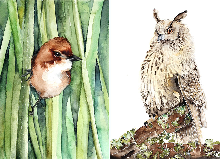 I'm An Architect And I Escape Urban World By Watercoloring Birds