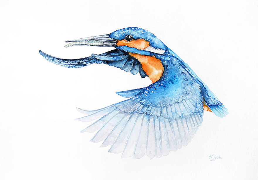 I'm An Architect And I Escape Urban World By Watercoloring Birds