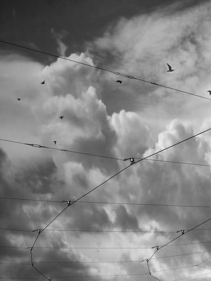 I Look For Art When I Go Birdwatching