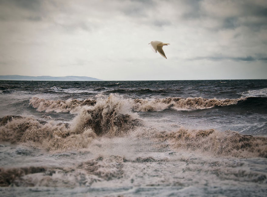 I Look For Art When I Go Birdwatching I Look For Art When I Go Birdwatching