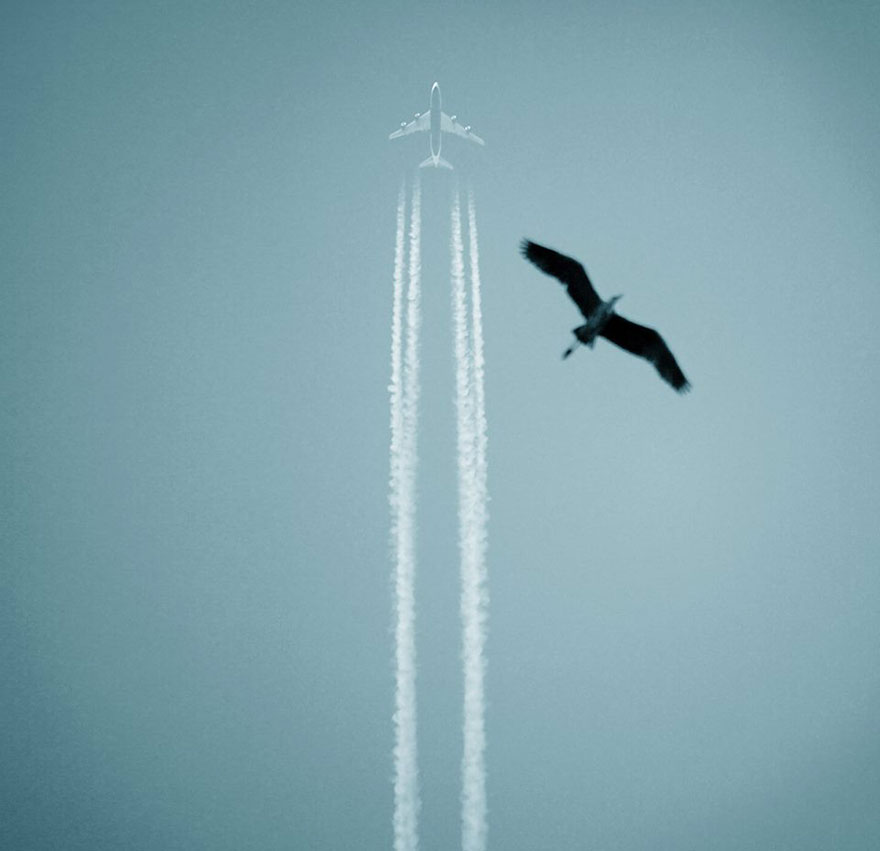 I Look For Art When I Go Birdwatching I Look For Art When I Go Birdwatching