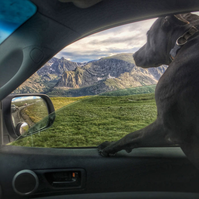 I Live In My Truck With My Dog And Travel Across The Country