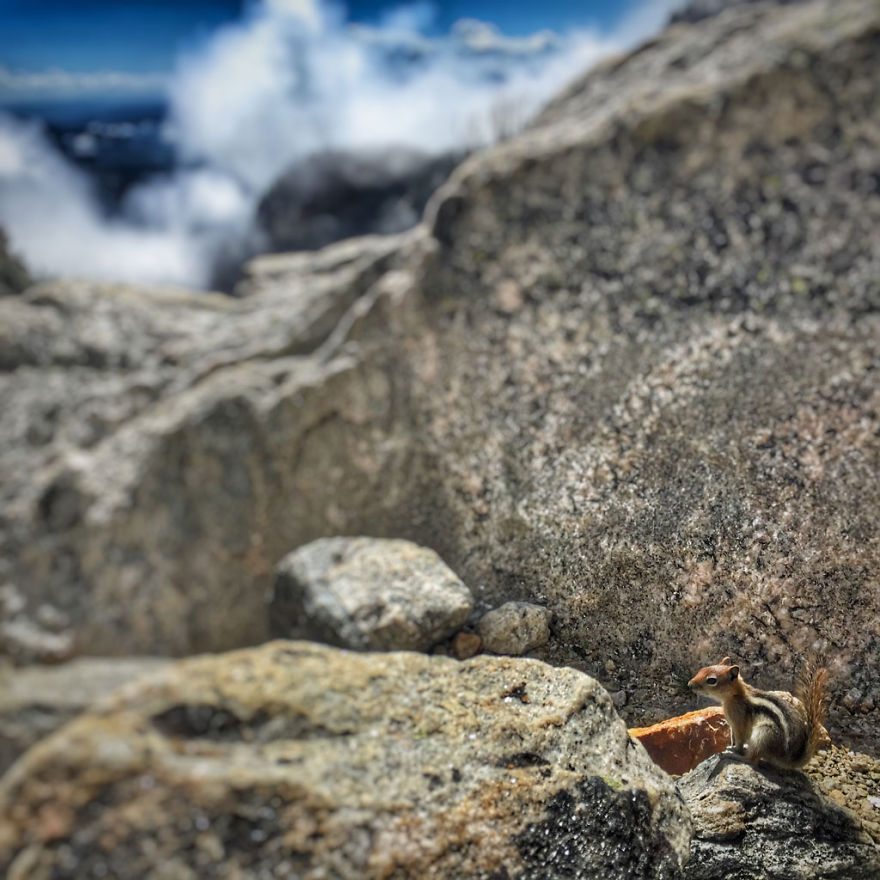 I Live In My Truck With My Dog And Travel Across The Country I Live In My Truck With My Dog And Travel Across The Country