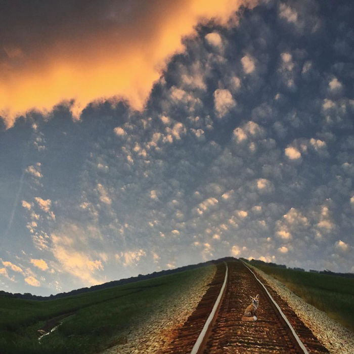 I Create Surreal Southern Art In Mississippi With My Iphone I Create Surreal Southern Art In Mississippi With My Iphone