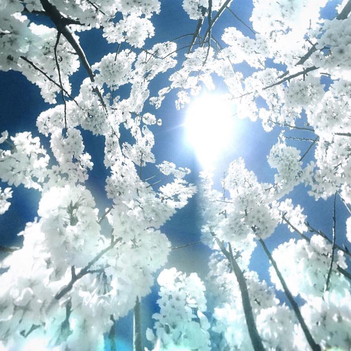 I Create Surreal Southern Art In Mississippi With My Iphone I Create Surreal Southern Art In Mississippi With My Iphone