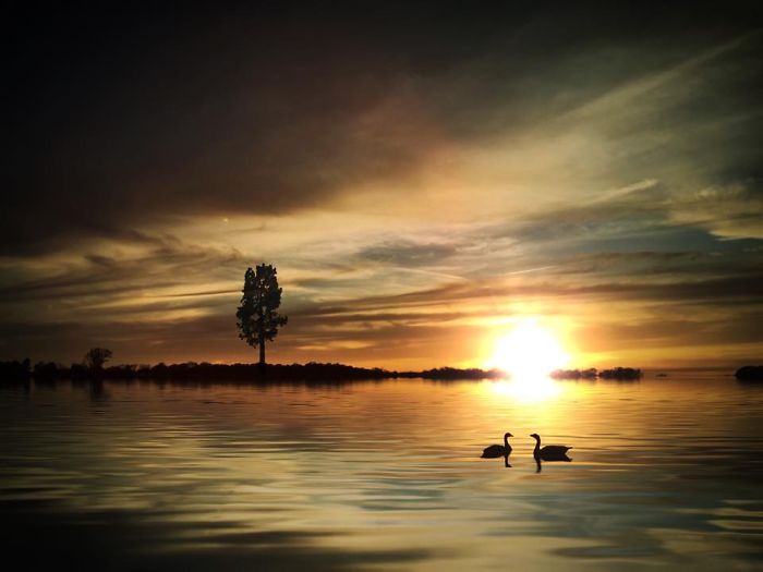 I Create Surreal Southern Art In Mississippi With My Iphone I Create Surreal Southern Art In Mississippi With My Iphone