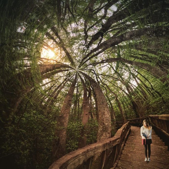 I Create Surreal Southern Art In Mississippi With My Iphone I Create Surreal Southern Art In Mississippi With My Iphone