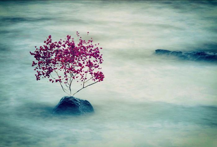 I Create Surreal Southern Art In Mississippi With My Iphone I Create Surreal Southern Art In Mississippi With My Iphone