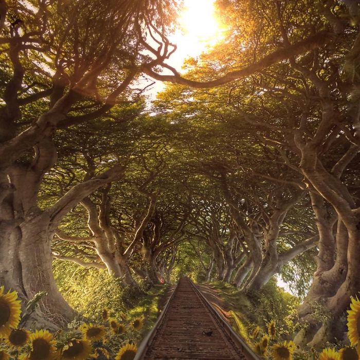 I Create Surreal Southern Art In Mississippi With My Iphone I Create Surreal Southern Art In Mississippi With My Iphone