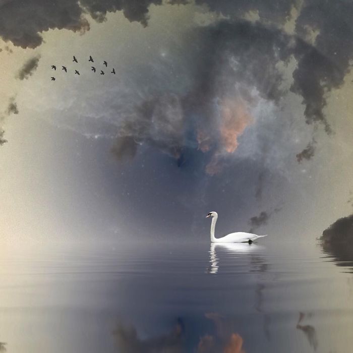 I Create Surreal Southern Art In Mississippi With My Iphone I Create Surreal Southern Art In Mississippi With My Iphone