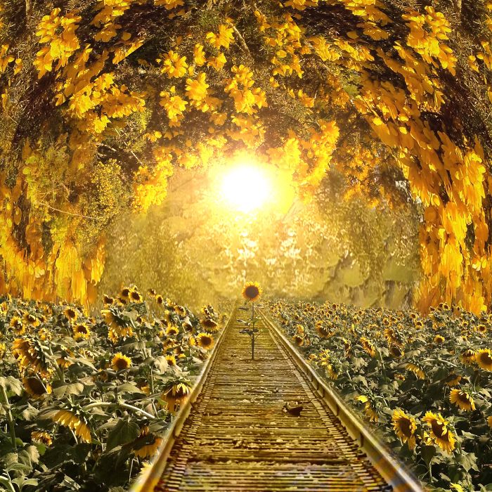 I Create Surreal Southern Art In Mississippi With My Iphone I Create Surreal Southern Art In Mississippi With My Iphone