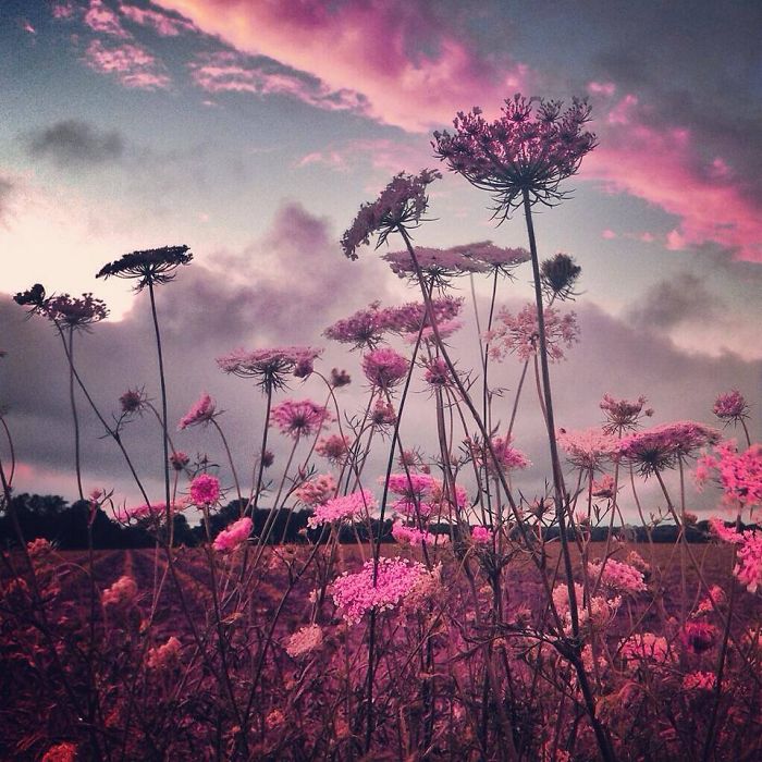 I Create Surreal Southern Art In Mississippi With My Iphone I Create Surreal Southern Art In Mississippi With My Iphone