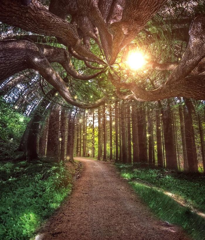 I Create Surreal Southern Art In Mississippi With My Iphone