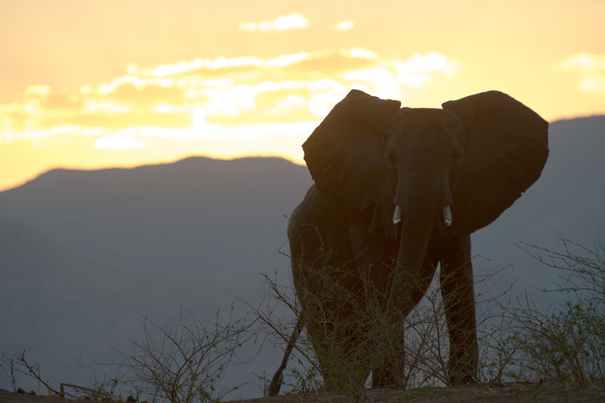 I Quit My Job, Sold My Things And Backpacked Around The World For 3 Years To 60 Countries I Quit My Job, Sold My Things And Backpacked Around The World For 3 Years To 60 Countries