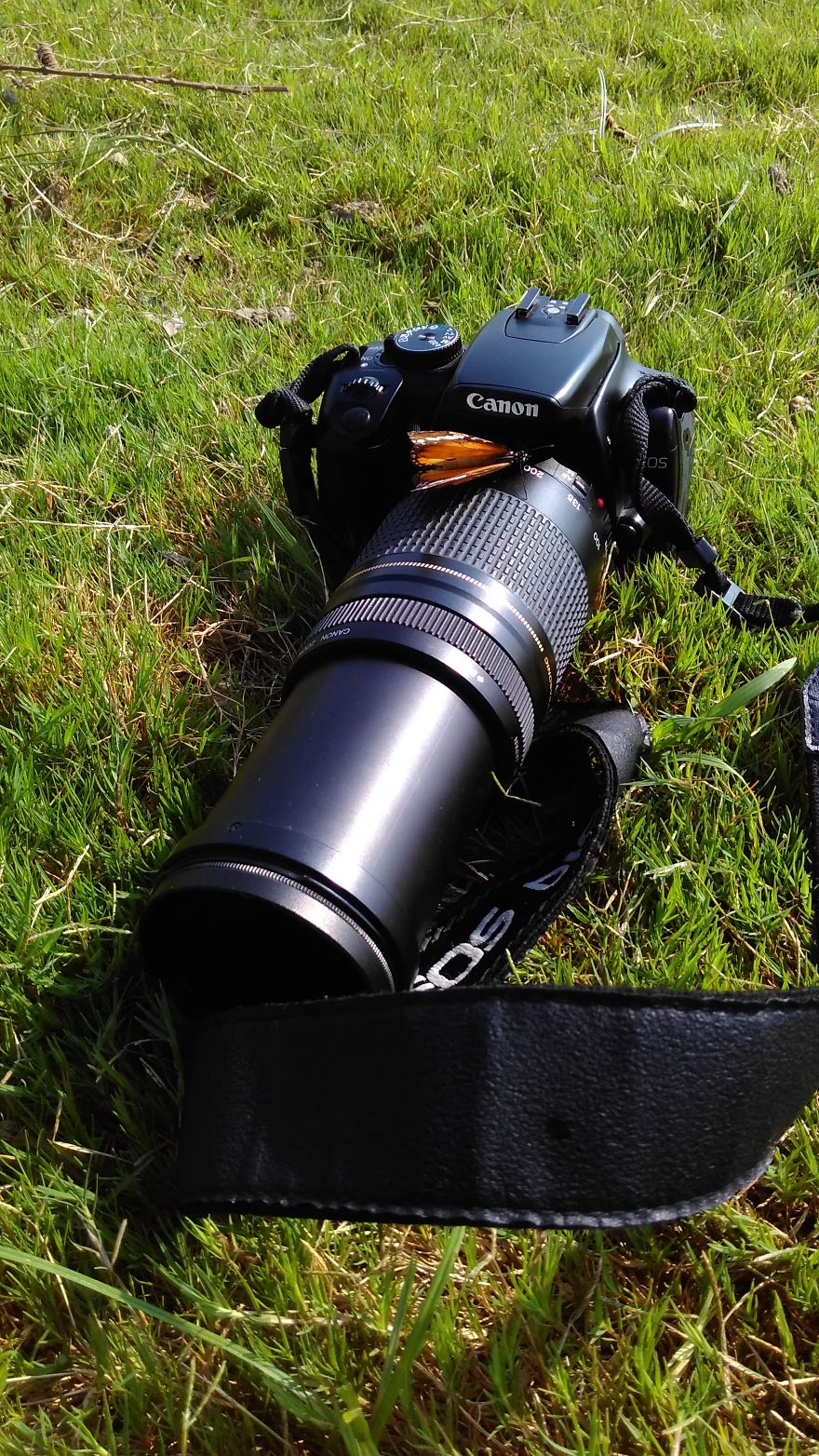 Butterfly With A Gun © Yuvraj Sharma