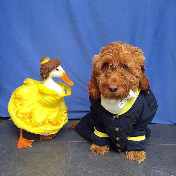 Beauty And The Beast 2.0