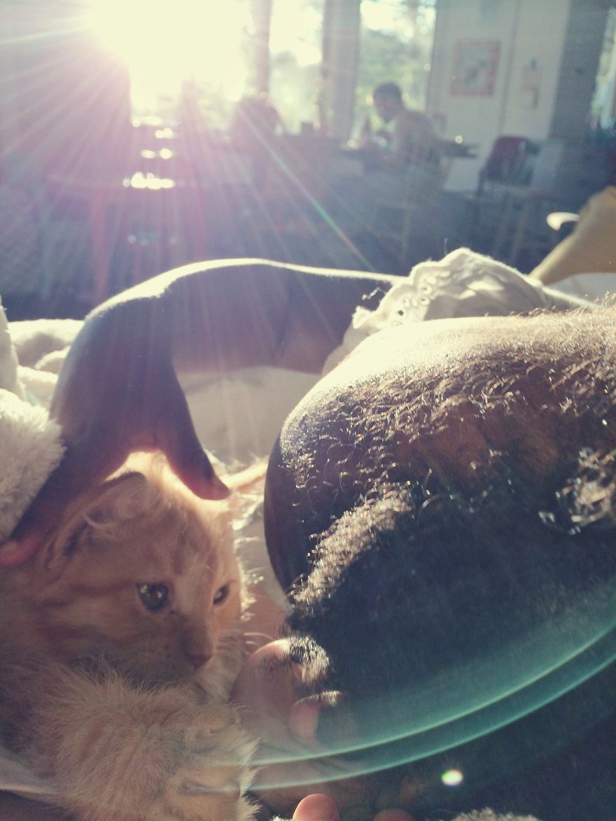 Libby And Elsa: The Adorable Relationship Between A Toddler And Her Kitty