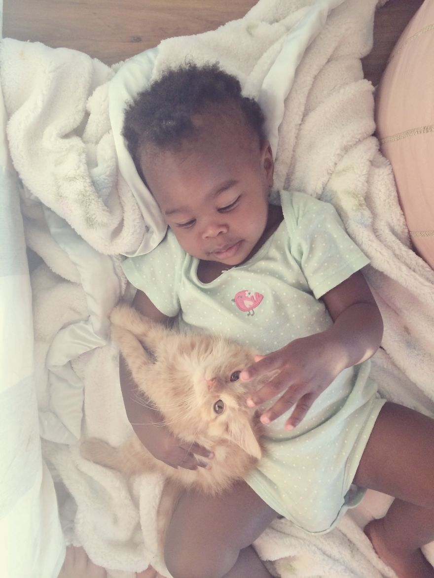 Libby And Elsa: The Adorable Relationship Between A Toddler And Her Kitty