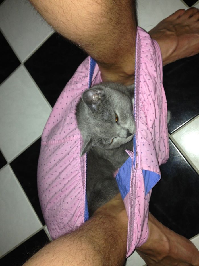 Time For A Little Nap