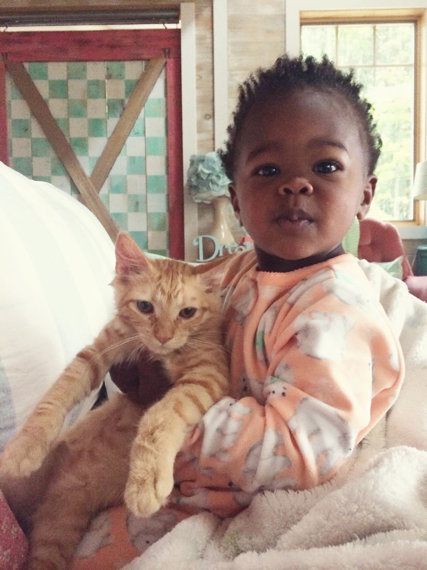 Libby And Elsa: The Adorable Relationship Between A Toddler And Her Kitty Libby And Elsa: The Adorable Relationship Between A Toddler And Her Kitty