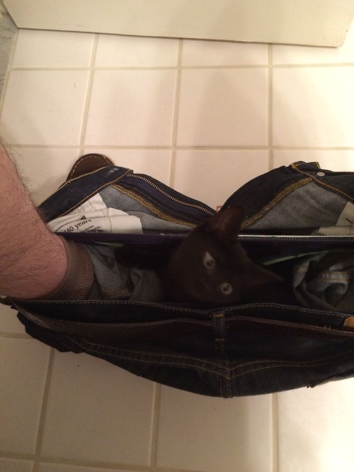 Excuse Me.... Ummm... Where Did You Get That Thing..?!!??