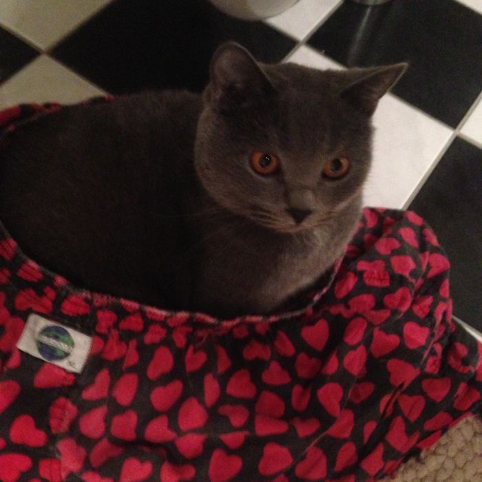 I Loveeeeeeeeeeee Your Underwear