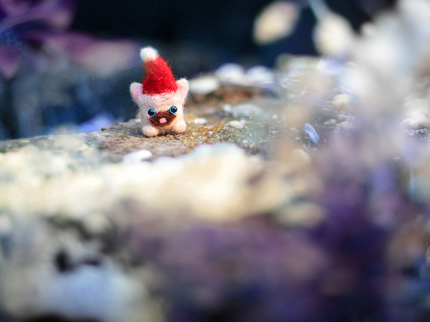 It's Never Too Early To Think About Christmas, So I Made Tiny Woolen Kittens