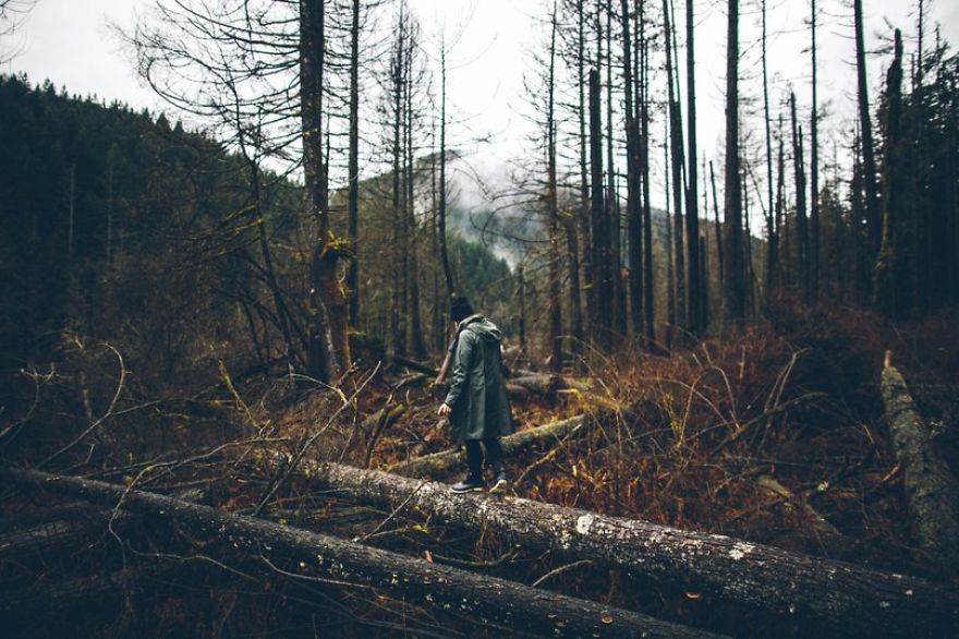 Nature Obsession: My Favorite Photos Of Nick Carnera