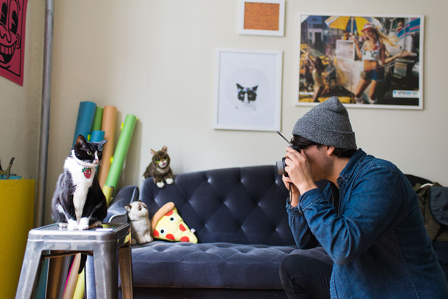 We Travel Around The U.s. Photographing Celebrity Cats And Their Caretakers We Travel Around The U.s. Photographing Celebrity Cats And Their Caretakers