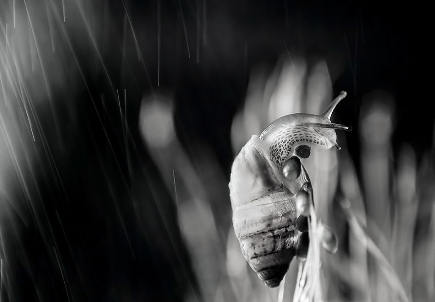 Mesmerising Beauty Of Droplets Captured Through My Macro Lens Mesmerising Beauty Of Droplets Captured Through My Macro Lens