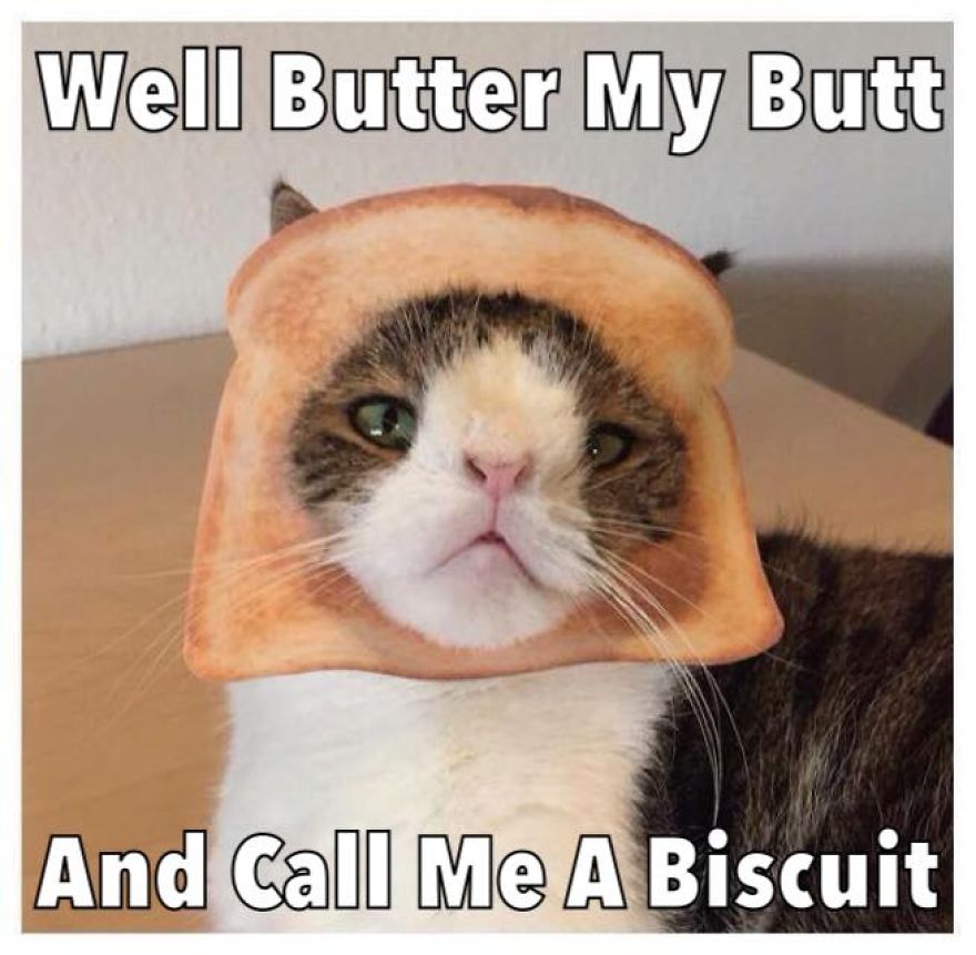 Monty Boy Memes Monty Boy Memes