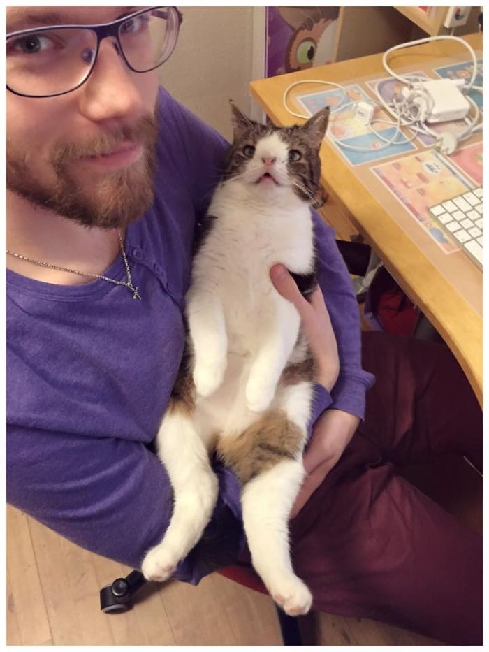 Our Cat Monty Is Not Perfect But Pawsome! Our Cat Monty Is Not Perfect But Pawsome!