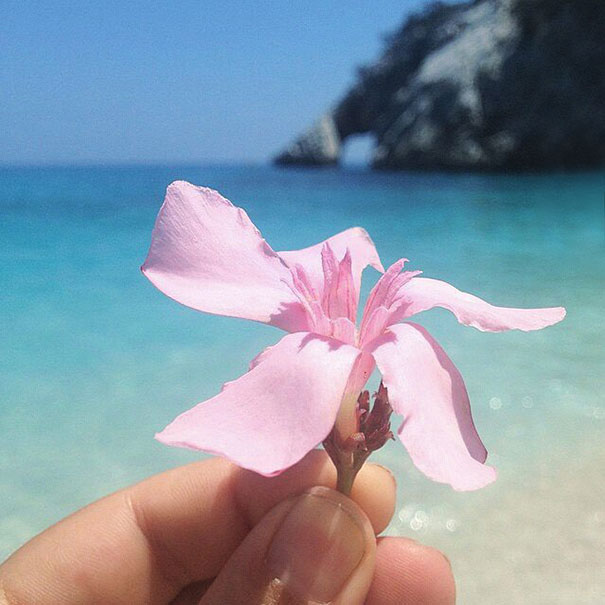 I Document The Scents Of Sardinia To Remember The Smells Of My Land I Document The Scents Of Sardinia To Remember The Smells Of My Land