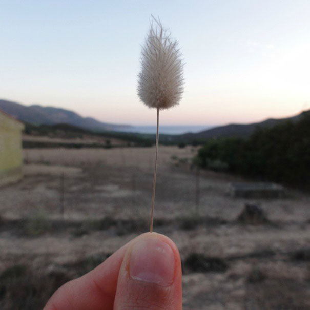 I Document The Scents Of Sardinia To Remember The Smells Of My Land I Document The Scents Of Sardinia To Remember The Smells Of My Land