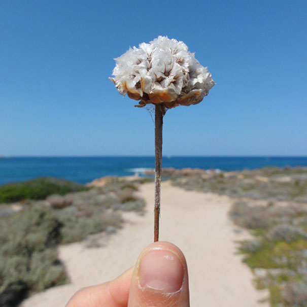 I Document The Scents Of Sardinia To Remember The Smells Of My Land