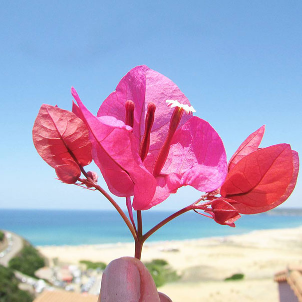 I Document The Scents Of Sardinia To Remember The Smells Of My Land