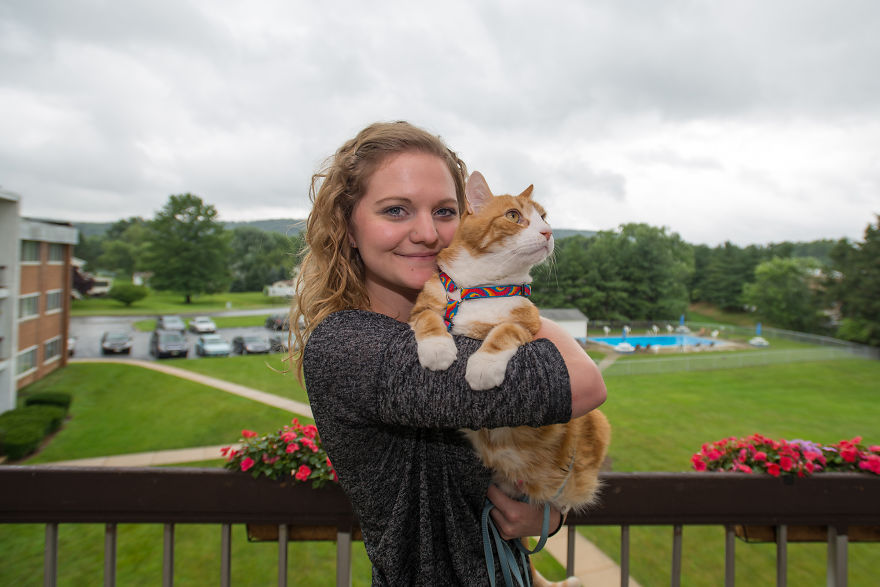 We Travel Around The U.s. Photographing Celebrity Cats And Their Caretakers We Travel Around The U.s. Photographing Celebrity Cats And Their Caretakers