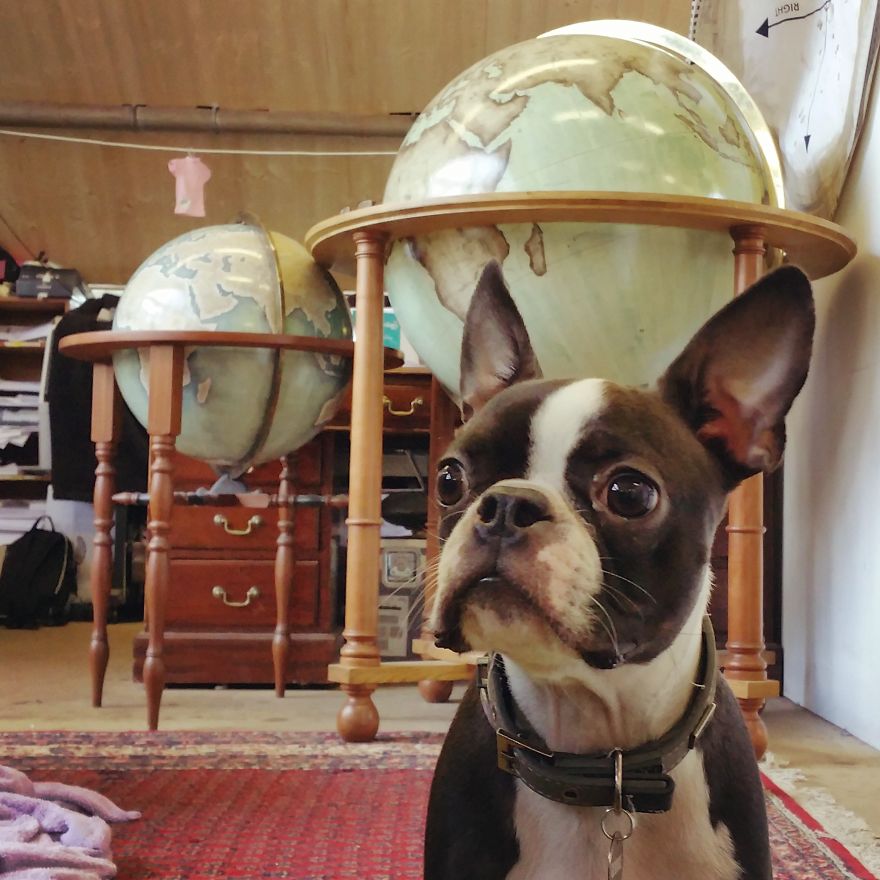 One Of The World’s Last Remaining Globe-Makers That Use The Ancient Art Of Making Globes By Hand One Of The World’s Last Remaining Globe-Makers That Use The Ancient Art Of Making Globes By Hand
