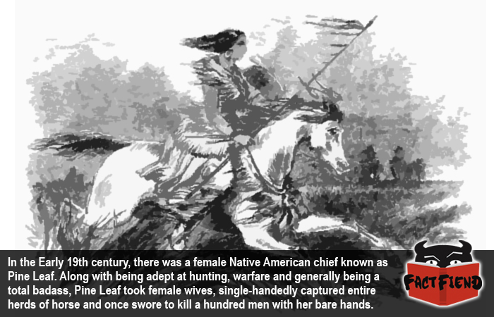 Woman Chief (pine Leaf)