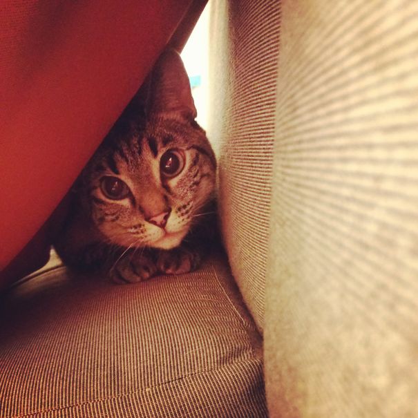 He Can't Find Me Here