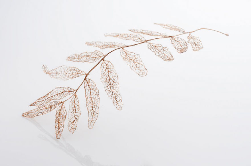 I Make Leaves Out Of Human Hair I Make Leaves Out Of Human Hair