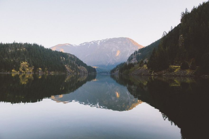 Nature Obsession: My Favorite Photos Of Nick Carnera