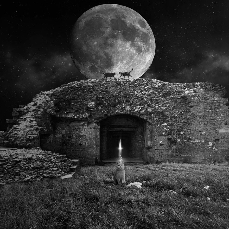 I Create Surreal Worlds For Animals To Live In Without Cruelty I Create Surreal Worlds For Animals To Live In Without Cruelty