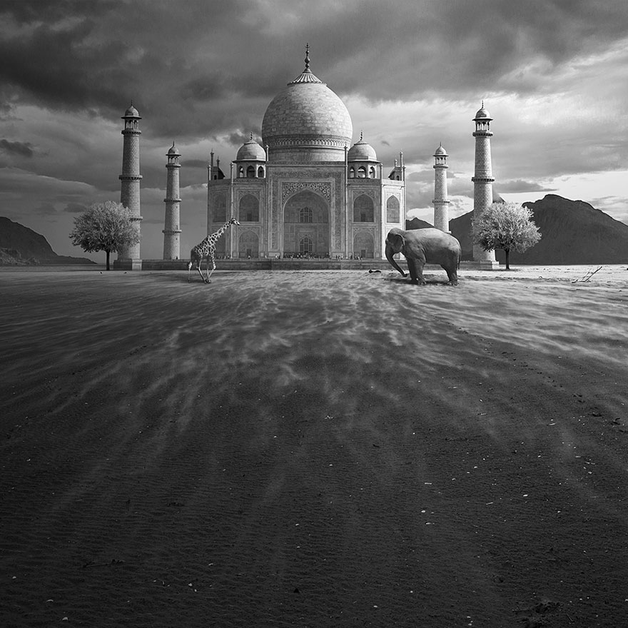 I Create Surreal Worlds For Animals To Live In Without Cruelty I Create Surreal Worlds For Animals To Live In Without Cruelty