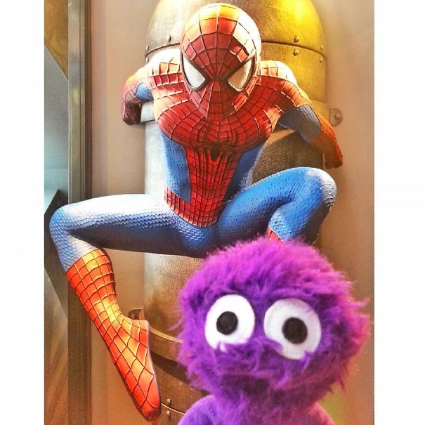 The Cutest Instagram Muppet You Should Definitely Meet