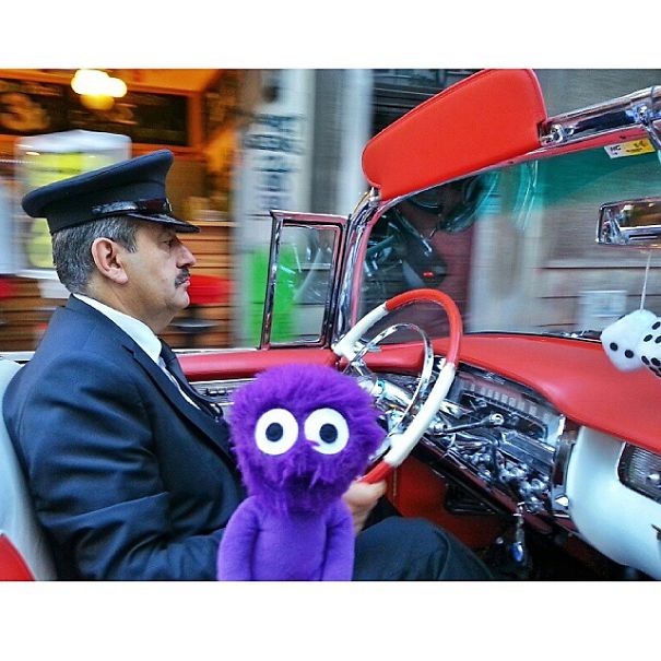 The Cutest Instagram Muppet You Should Definitely Meet