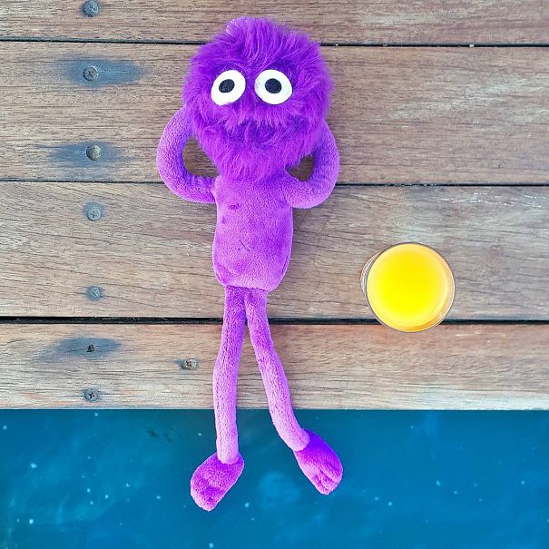 The Cutest Instagram Muppet You Should Definitely Meet