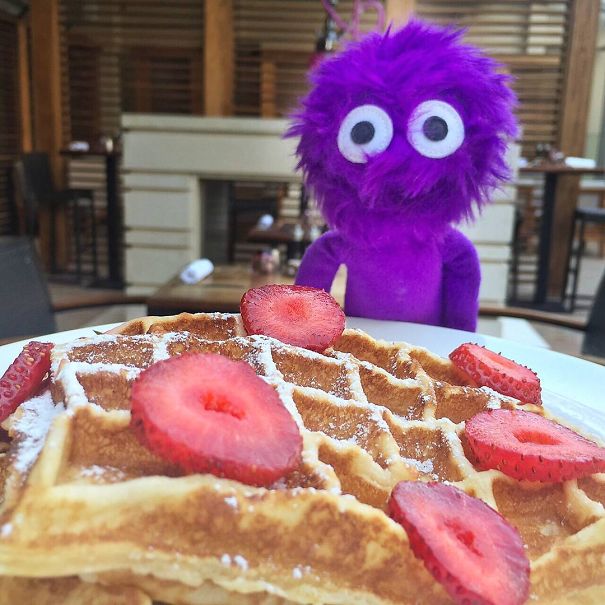 The Cutest Instagram Muppet You Should Definitely Meet The Cutest Instagram Muppet You Should Definitely Meet