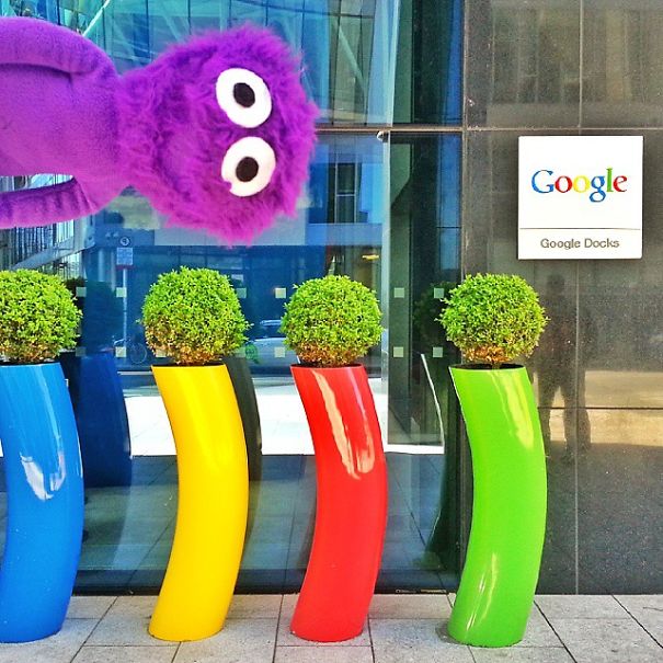 The Cutest Instagram Muppet You Should Definitely Meet The Cutest Instagram Muppet You Should Definitely Meet