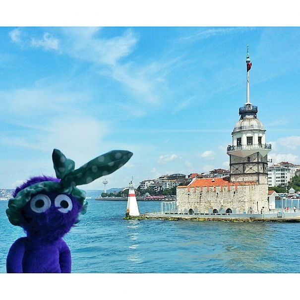 The Cutest Instagram Muppet You Should Definitely Meet The Cutest Instagram Muppet You Should Definitely Meet